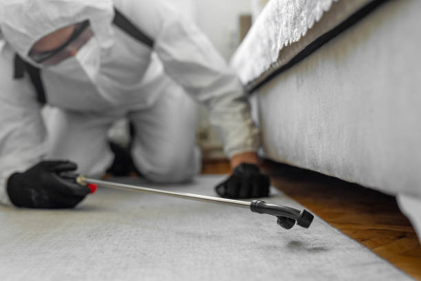 Professional Cockroach Control technician working in Lockwood, MO